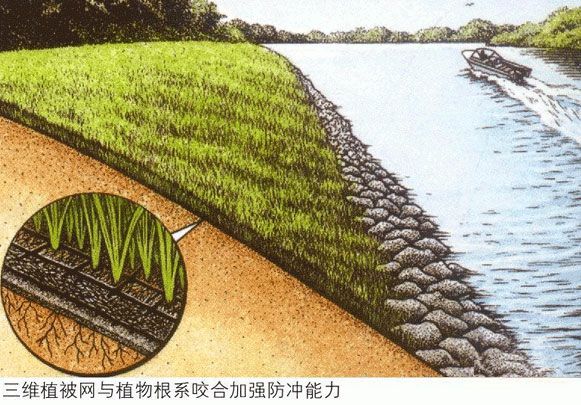 三維土工網(wǎng)墊